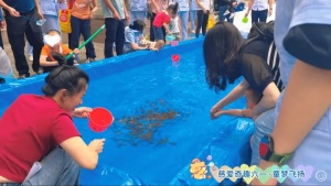 640.webp (6)_副本.jpg
