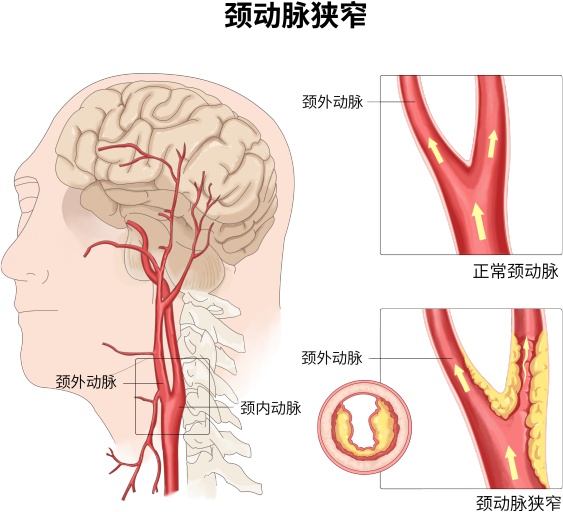 微信圖片_20241008102741_副本11.jpg